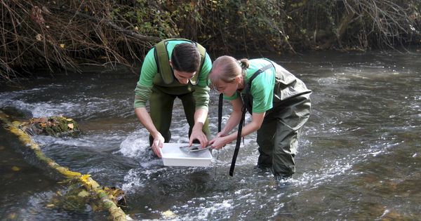 Foto: Foto de archivo en que dos voluntarios ayudan a limpiar el río Henares. (EFE)