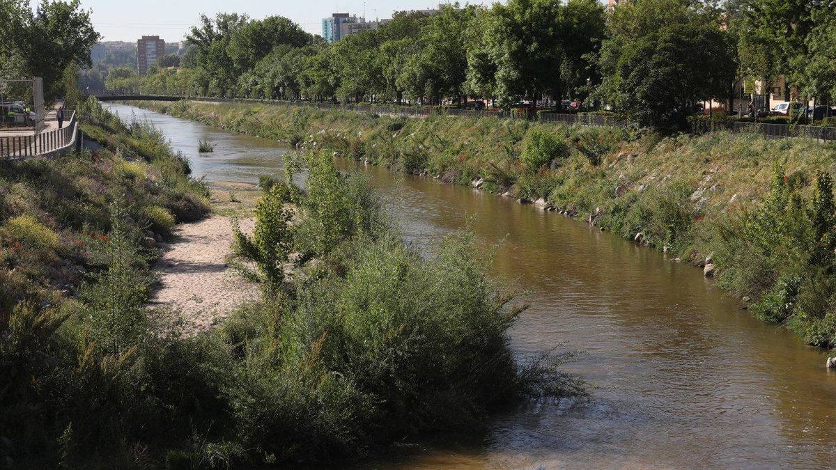 Carmena vuelve a convertir 1,5 km de Madrid Río en un canal para 40 remeros