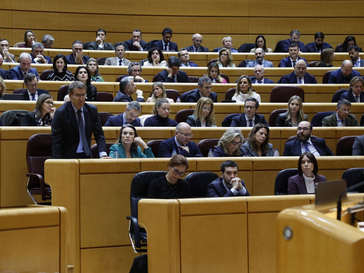 Foto: El líder del PP, Alberto Núñez Feijóo, durante un pleno en el Senado. (EFE/J.J. Guillén)