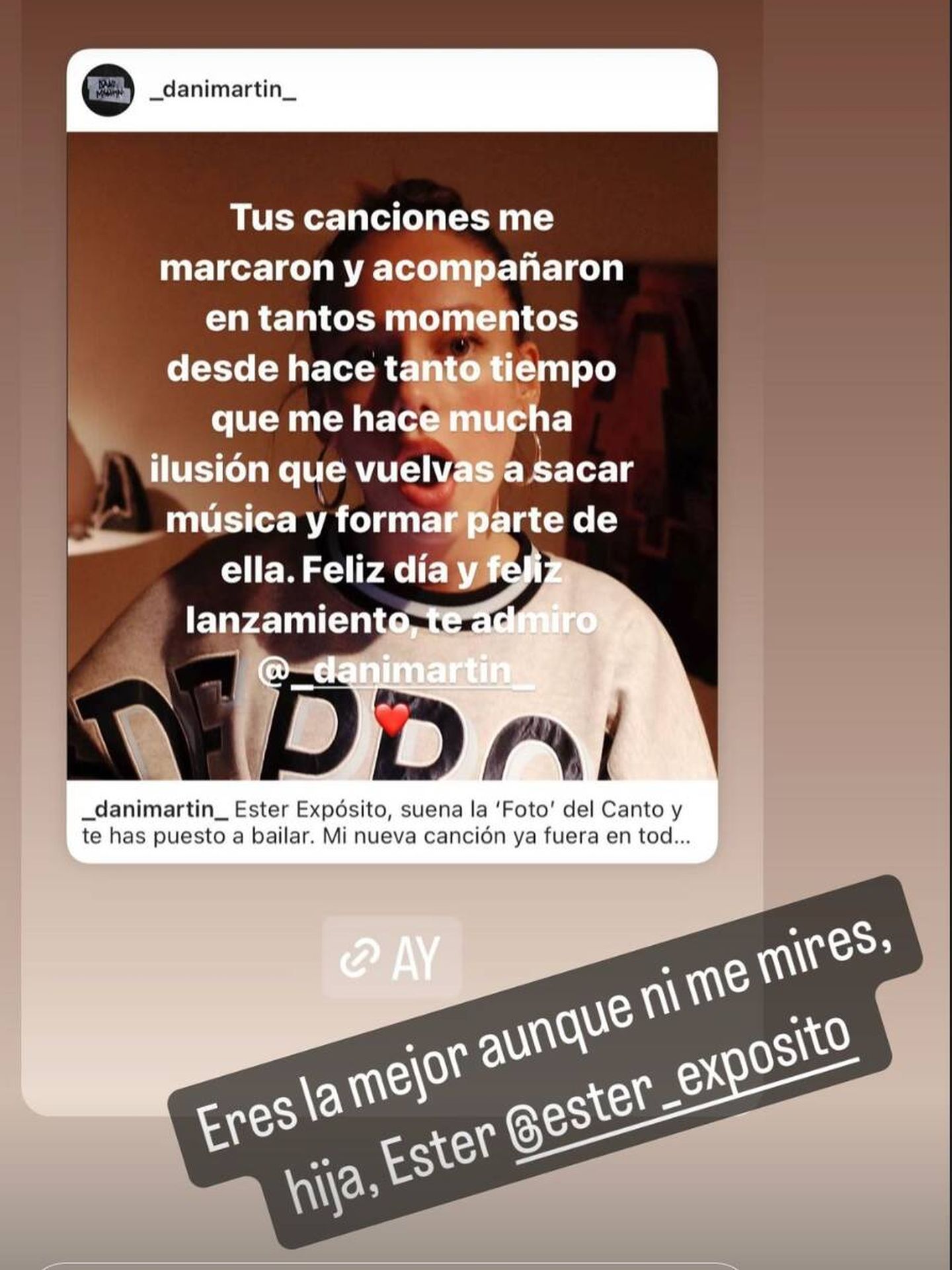 Story de Dani Martín. (Instagram/@_danimartin_)