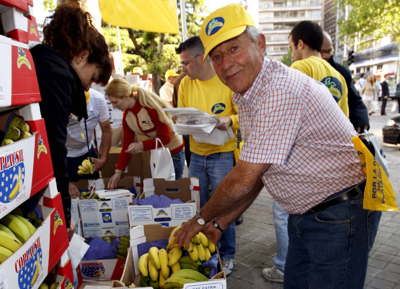 El plátano de Canarias se cultiva en pequeñas plantaciones y eso permite controlar la expansión del mal.
