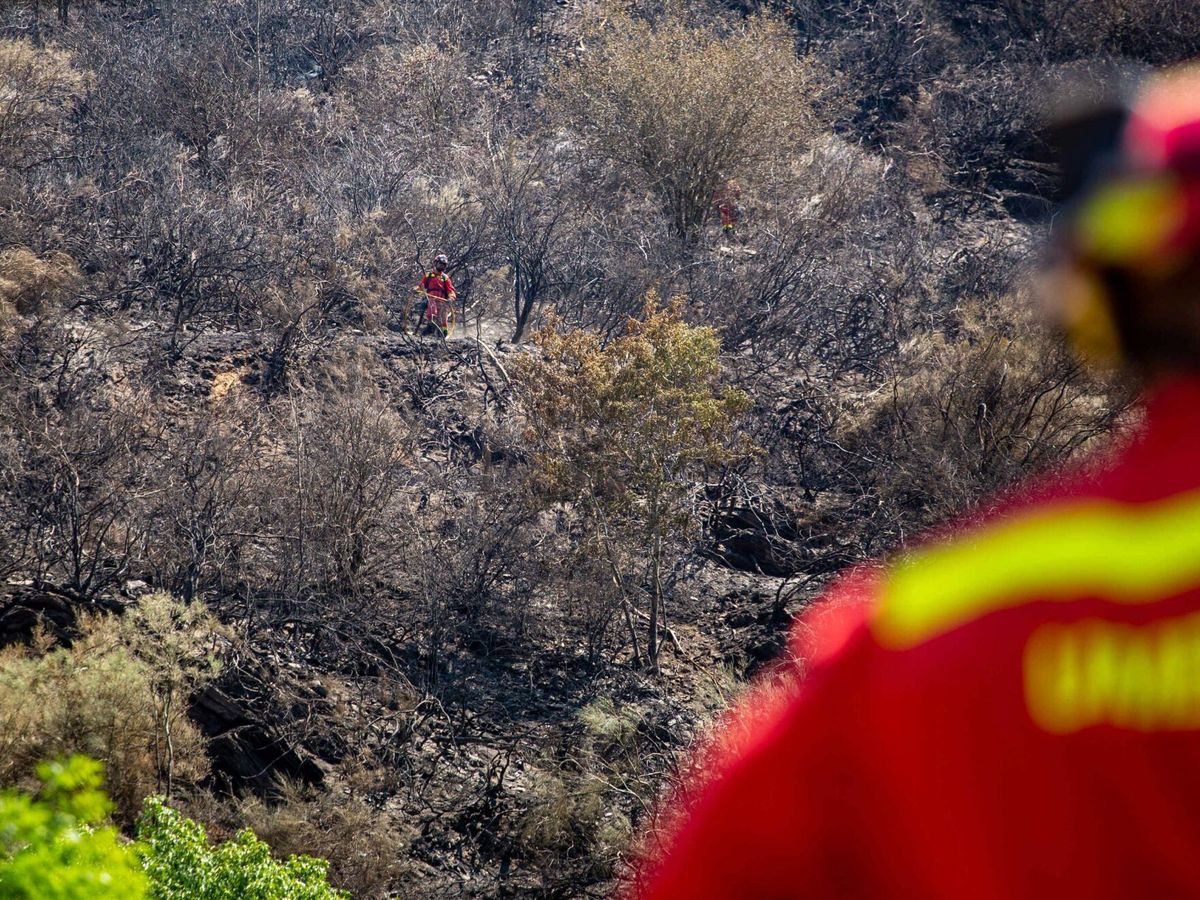 Foto: Bomberos en un incendio en España. (EFE)