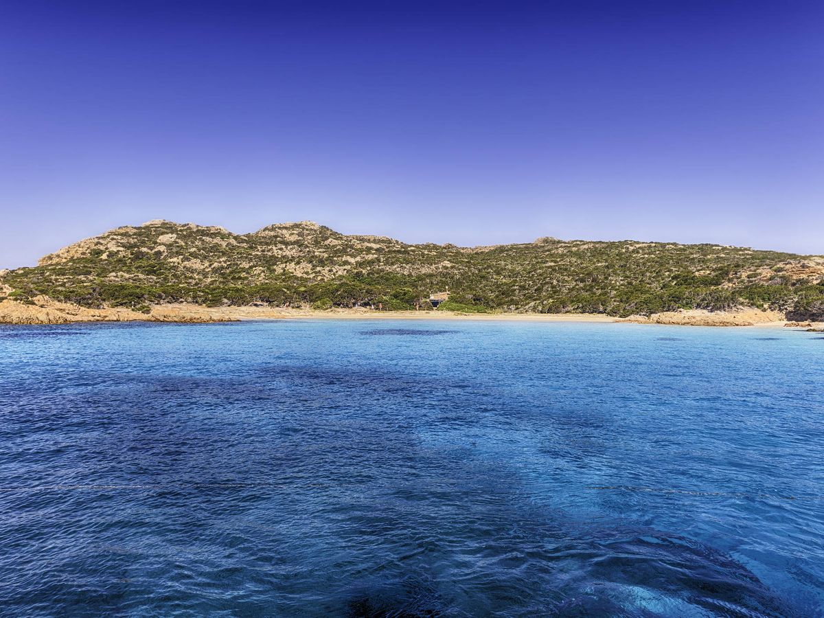 Foto: Vista de la famosa Playa Rosa en la isla de Budelli (Fuente: iStock)