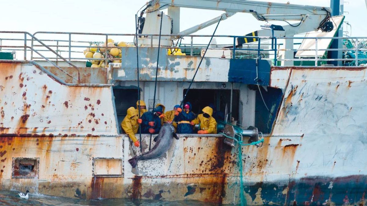 Tejerina salva la merluza, pero no puede con el jurel: recortes europeos en la pesca