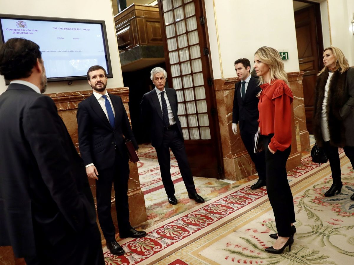 Foto: El líder del PP, Pablo Casado junto con otros miembros del partido en los pasillos del Congreso tras el pleno extraordinario celebrado el pasado miércoles. (EFE)