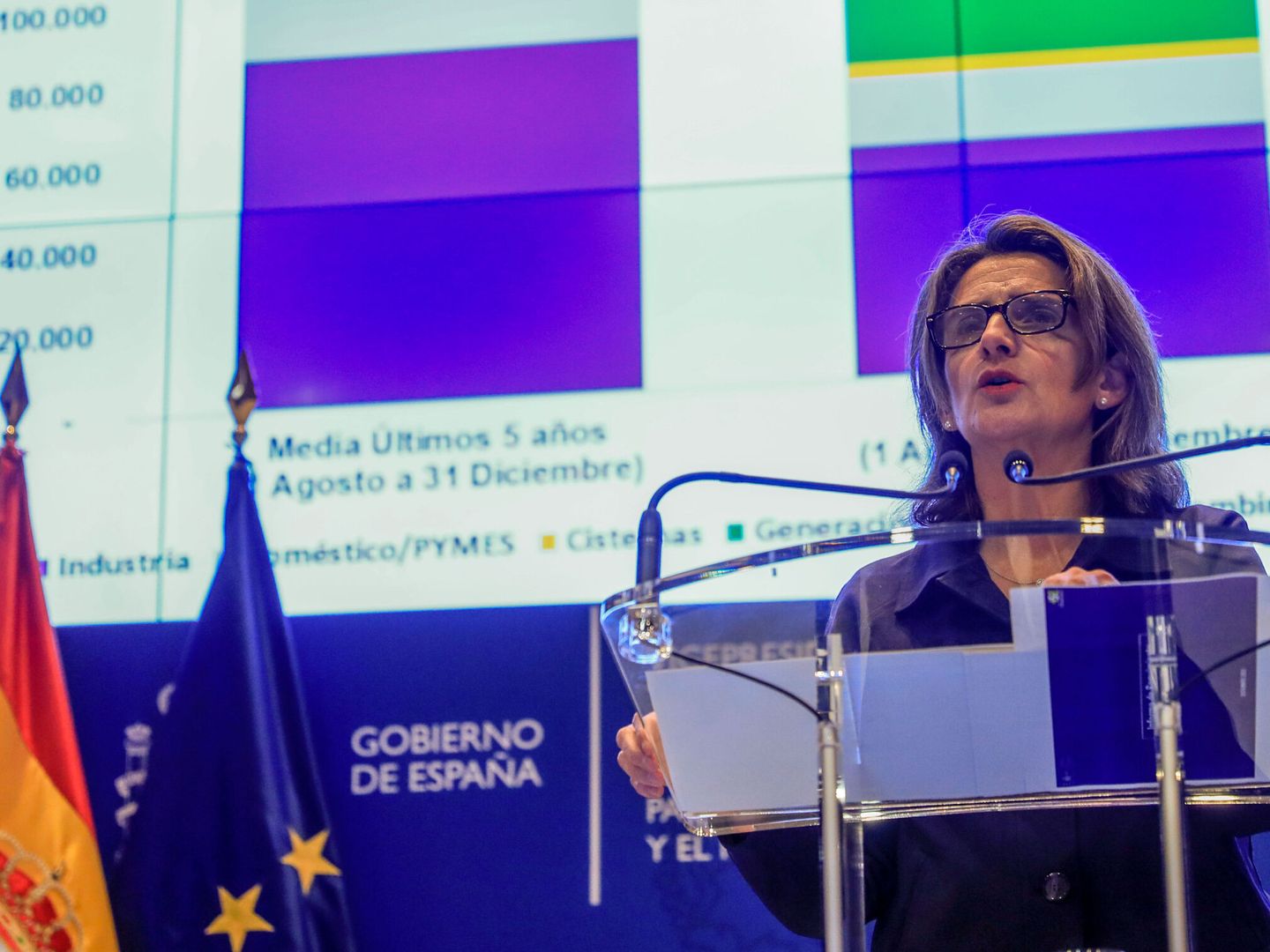 La ministra para la Transición Ecológica, Teresa Ribera. (EFE/Fernando Alvarado)