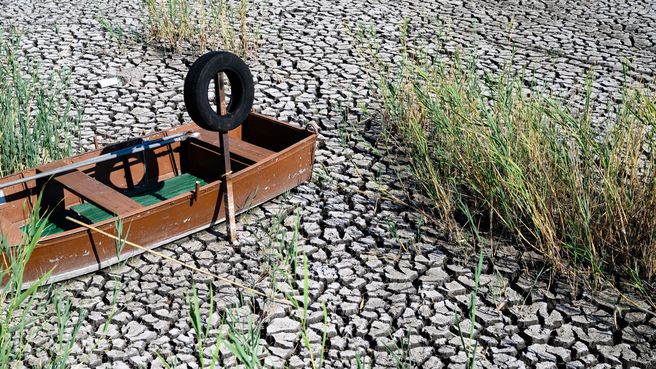 Foto de Efectos de la sequía en el lago Velencei