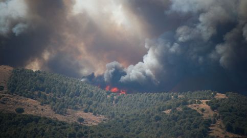 Los trabajos de una empresa de reforestación causaron la chispa que desató el incendio de Ateca