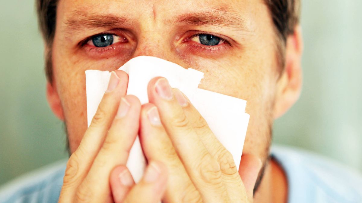 Remedios caseros para aliviar los síntomas de la alergia 