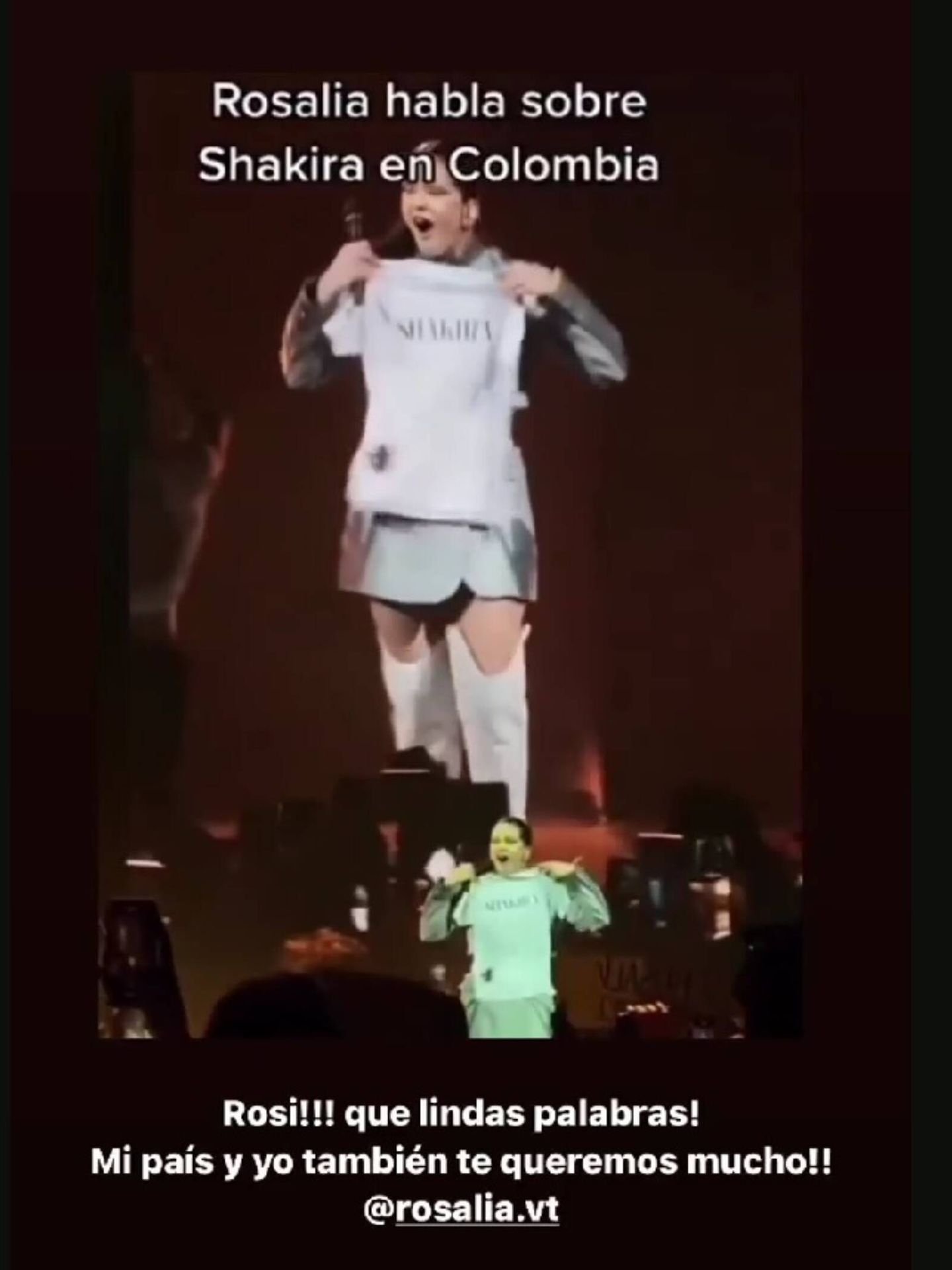 Shakira responde a través de sus stories de Instagram. (Instagram/@shakira)