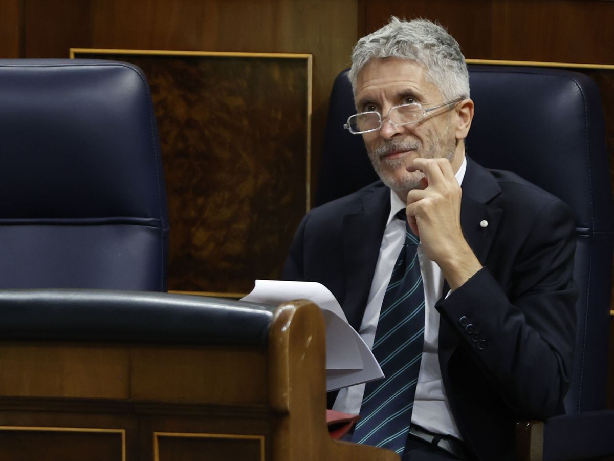 Foto: El ministro del Interior, Fernando Grande-Marlaska. (EFE/Javier Lizón)