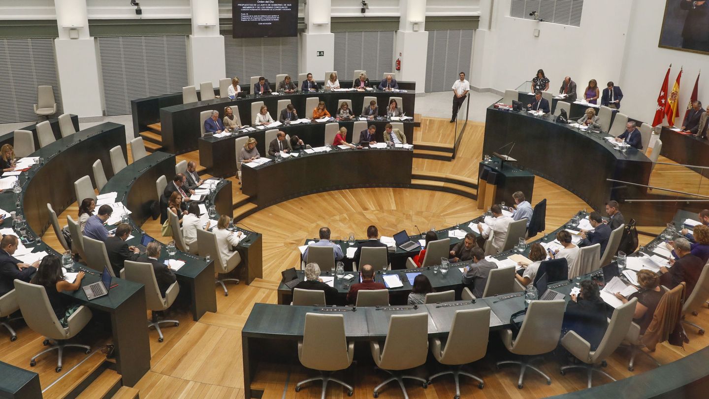 Vista general del pleno del Ayuntamiento de Madrid. (EFE)