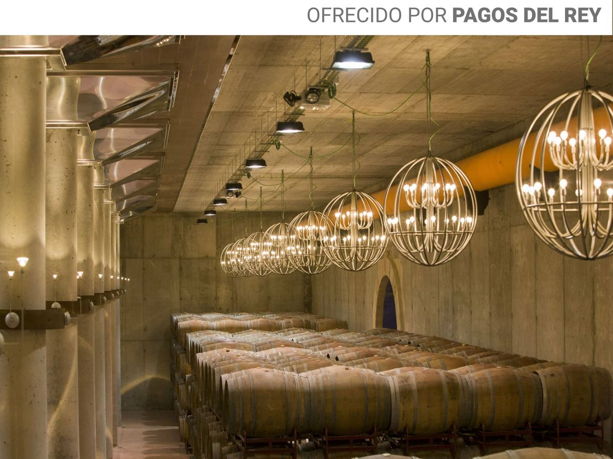 Foto: Museo del Vino Pagos del Rey, en Morales de Toro (Zamora). 