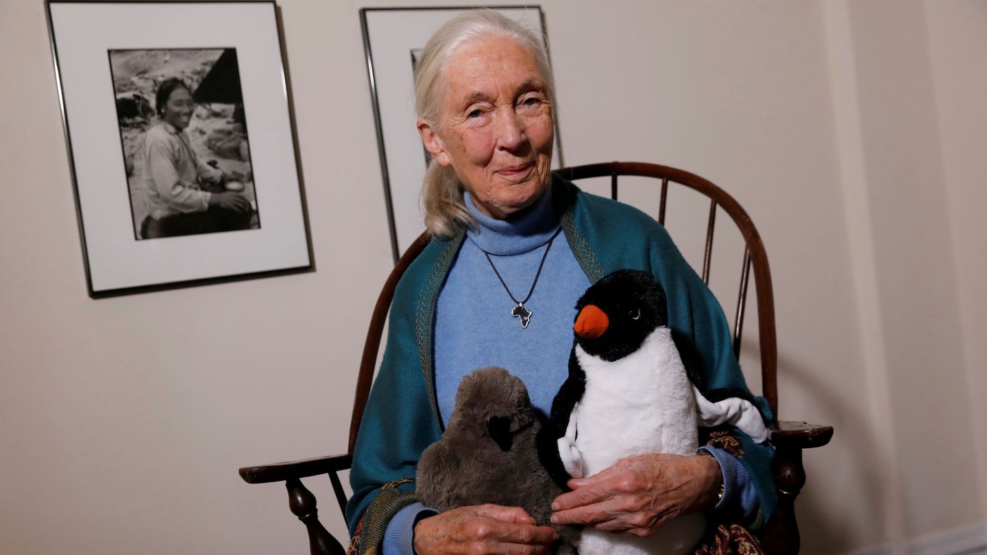 Jane Goodall. (Reuters/Shannon Stapleton)