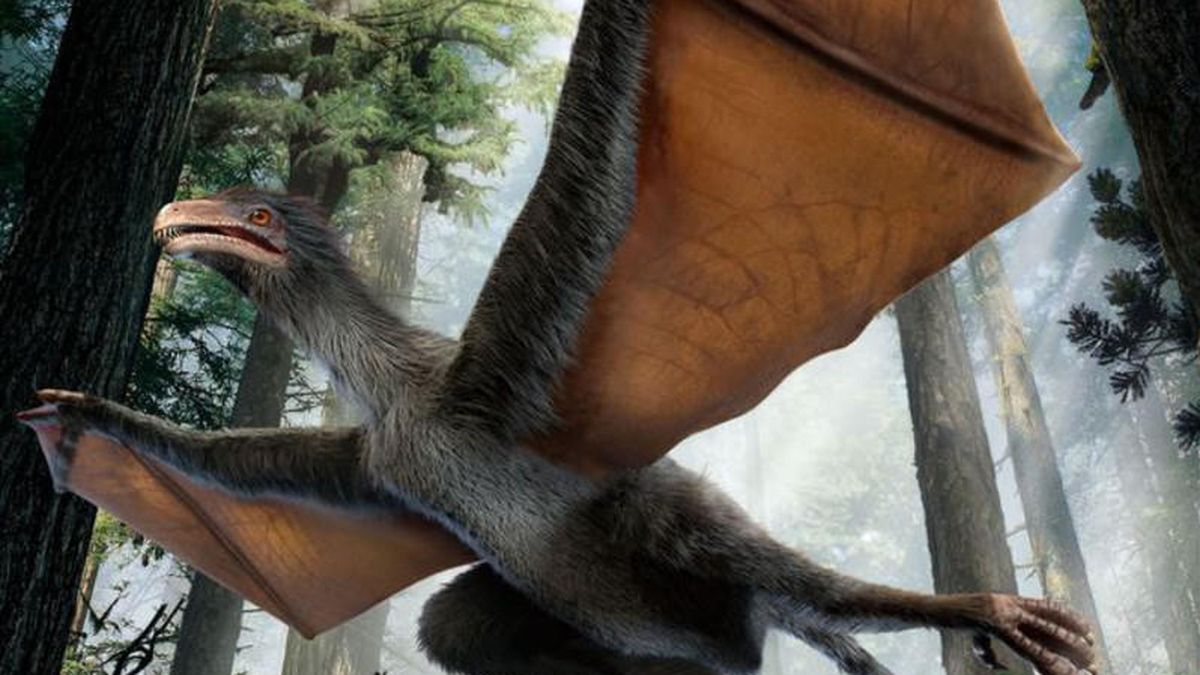 Descubren un pequeño dinosaurio chino con alas de murciélago
