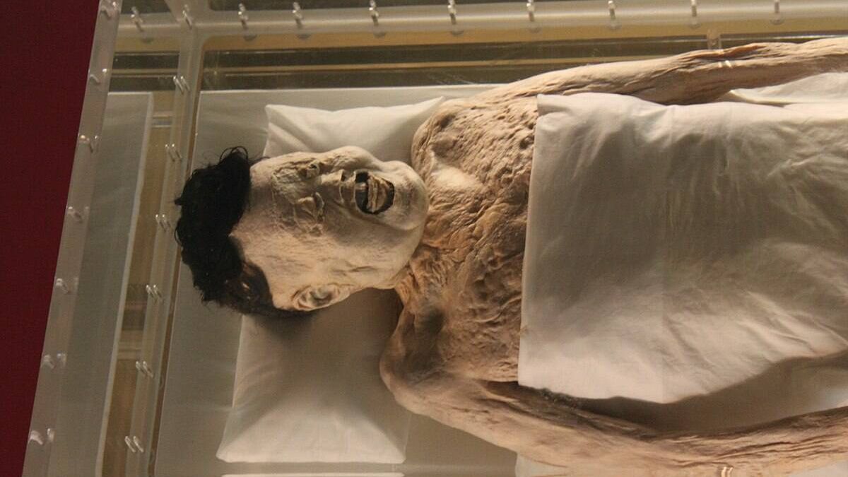 El misterio de la Dama de Dai, la momia milenaria tan bien conservada que aún tiene sangre en las venas