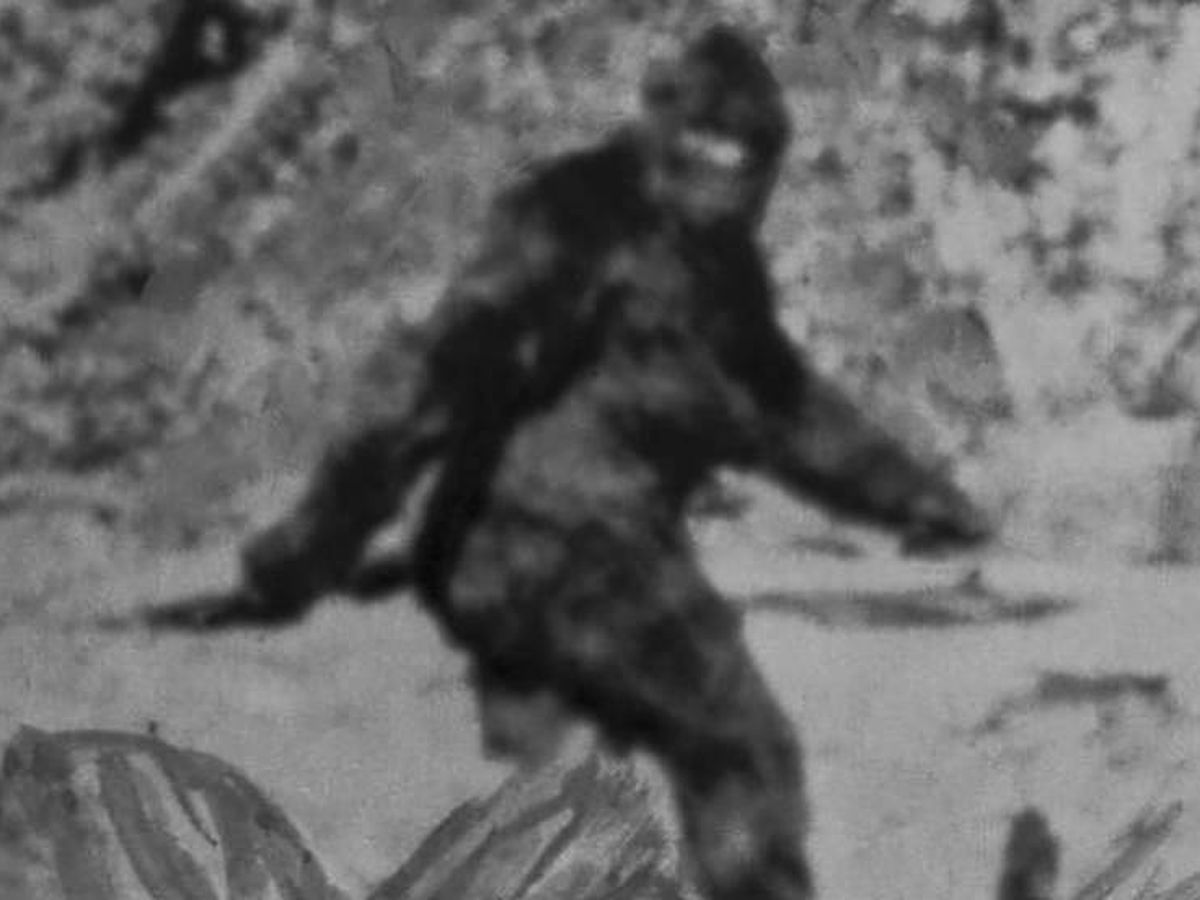 Foto: Bigfoot: ¿realidad o mito? El extraño caso que hizo que el FBI tuviera que intervenir. (CC/YouTube)