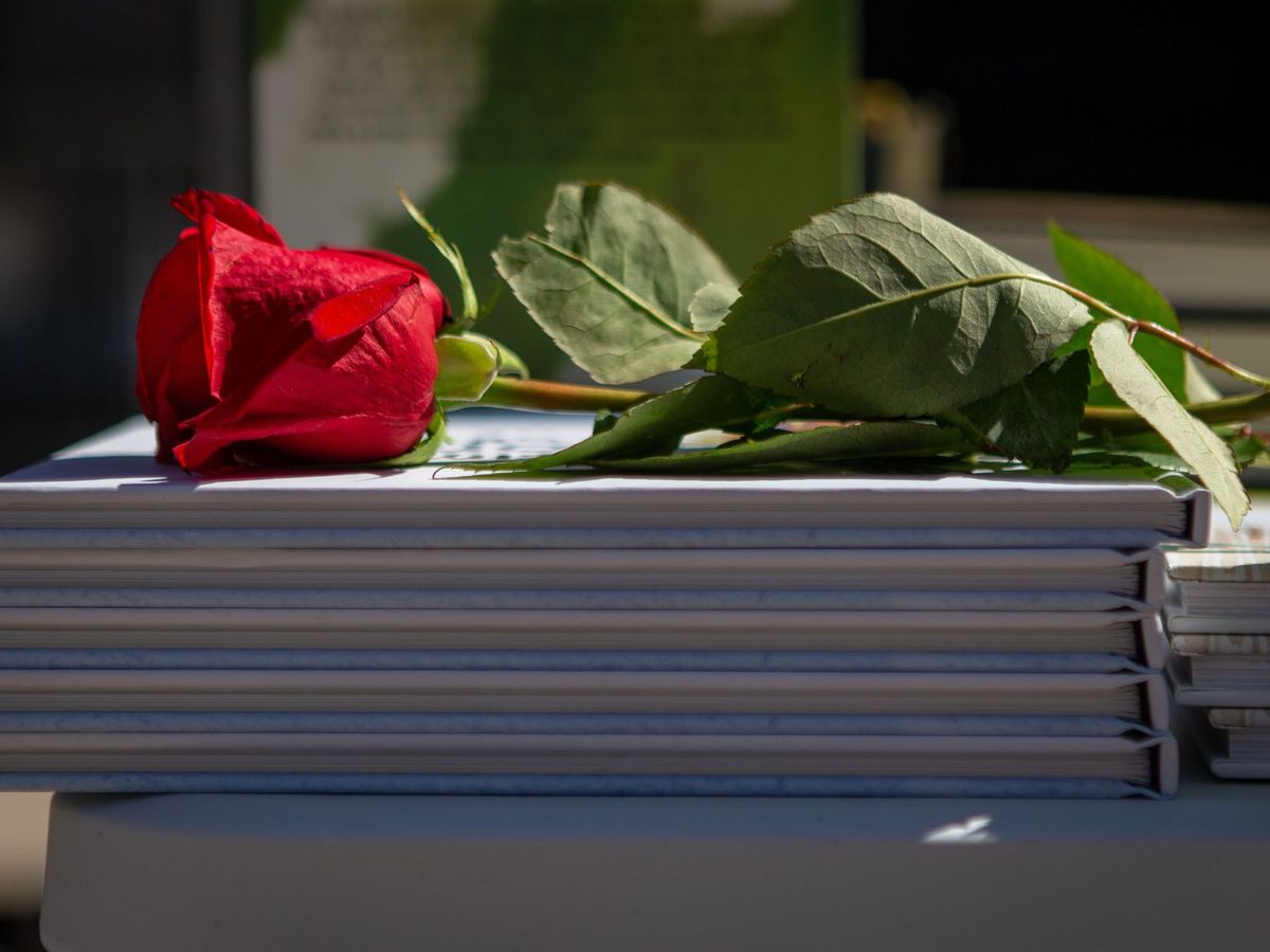 Foto: Una rosa sobre una pila de libros el día de Sant Jordi. (EFE/Enric Fontcuberta)