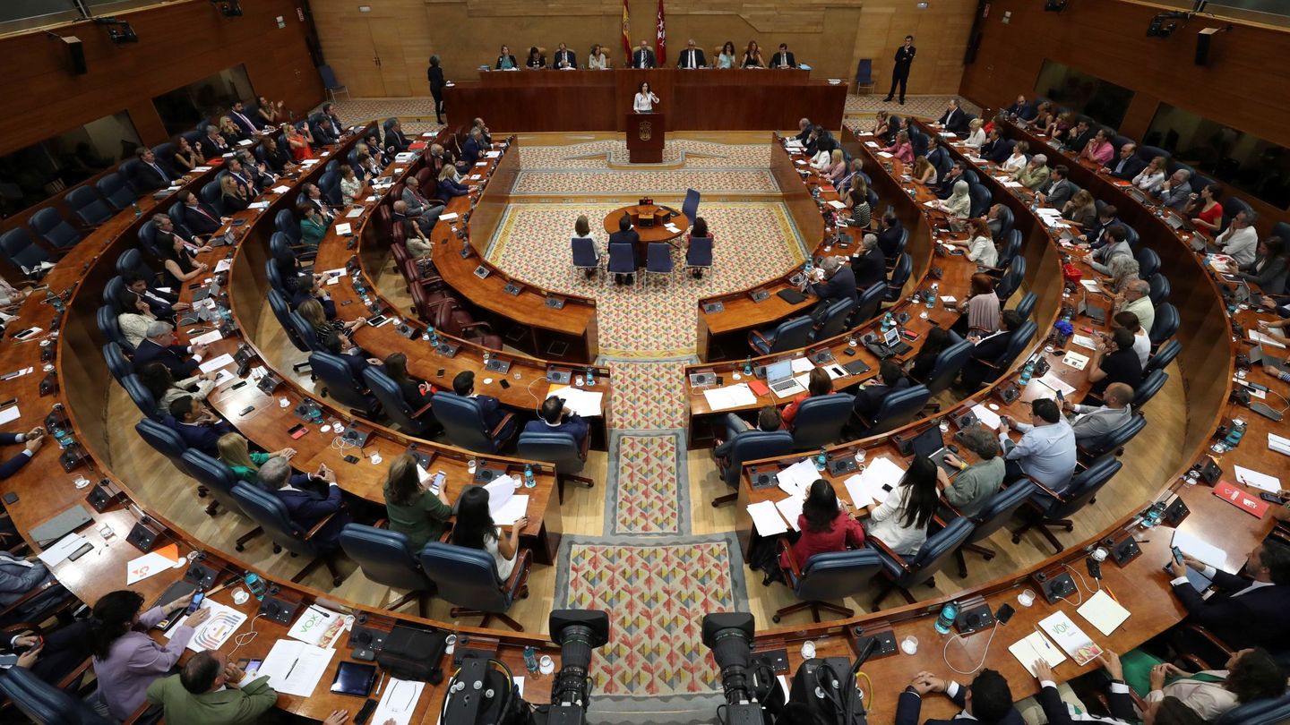 Vista general de la Asamblea de Madrid. (EFE)