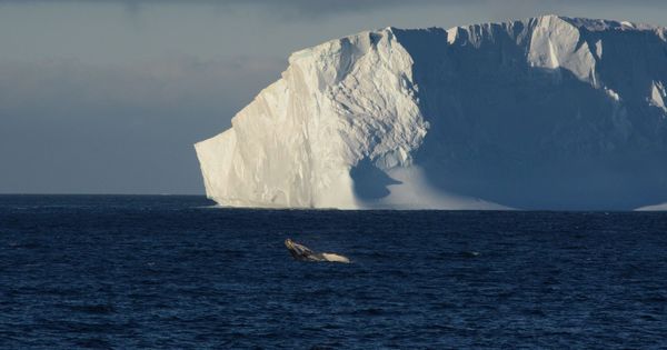 Foto: Sudáfrica planea 'secuestrar' un iceberg para acabar con la sequía. (EFE)