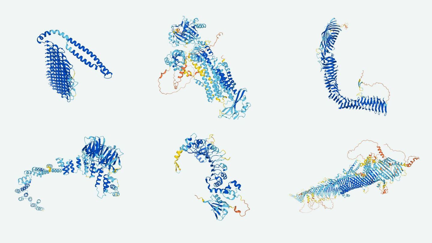 Estructura de las proteínas revelada por AlphaFold. 