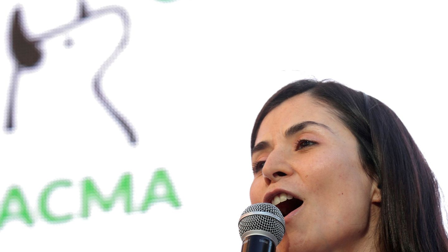 La candidata al Congreso por Pacma, Laura Duarte, durante el acto de cierre de campaña. (EFE)