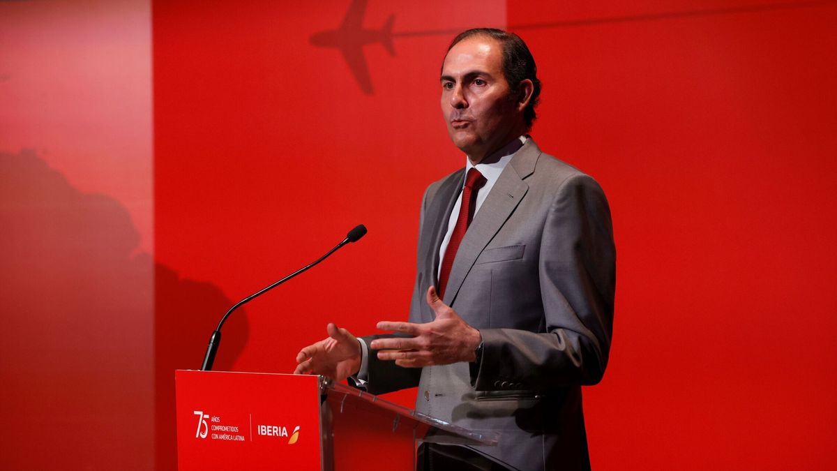 Sánchez-Prieto se marcha de Iberia para ser CEO de una empresa de reproducción asistida