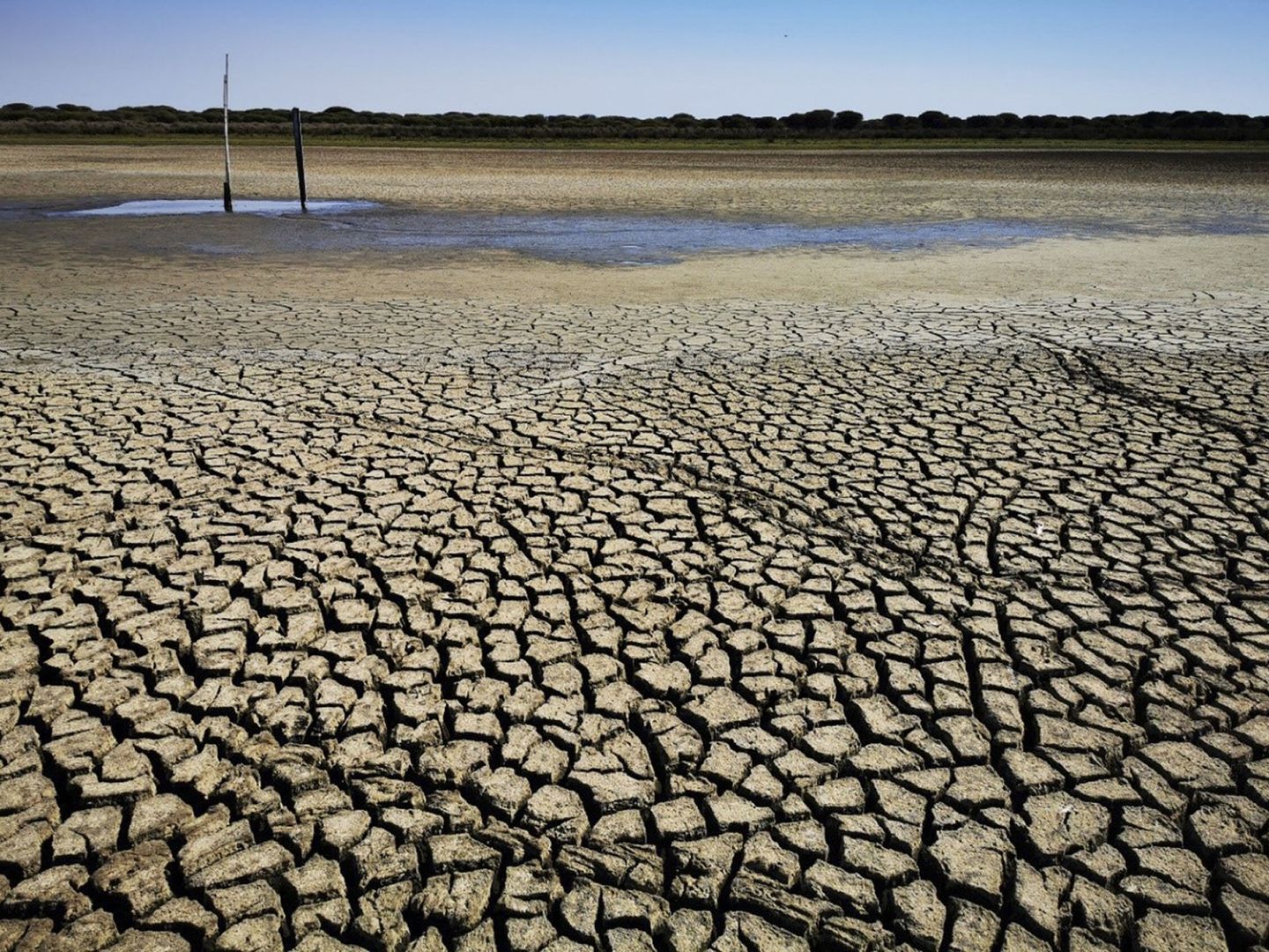 La laguna de Santa Olalla, la mayor de Doñana, se secó el pasado septiembre. (EFE)