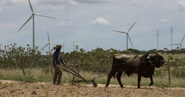 Foto: Fotografía de archivo del 15 de abril de 2016, de un agricultor mientras trabaja con el campo eólico de Iberdrola. (EFE)