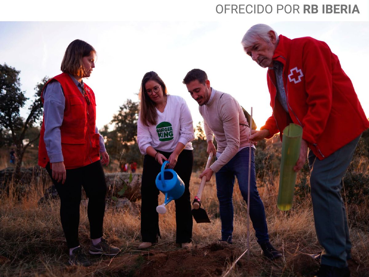 Más de 2.500 árboles en zonas protegidas: la iniciativa que quiere 'salvar'  los bosques españoles