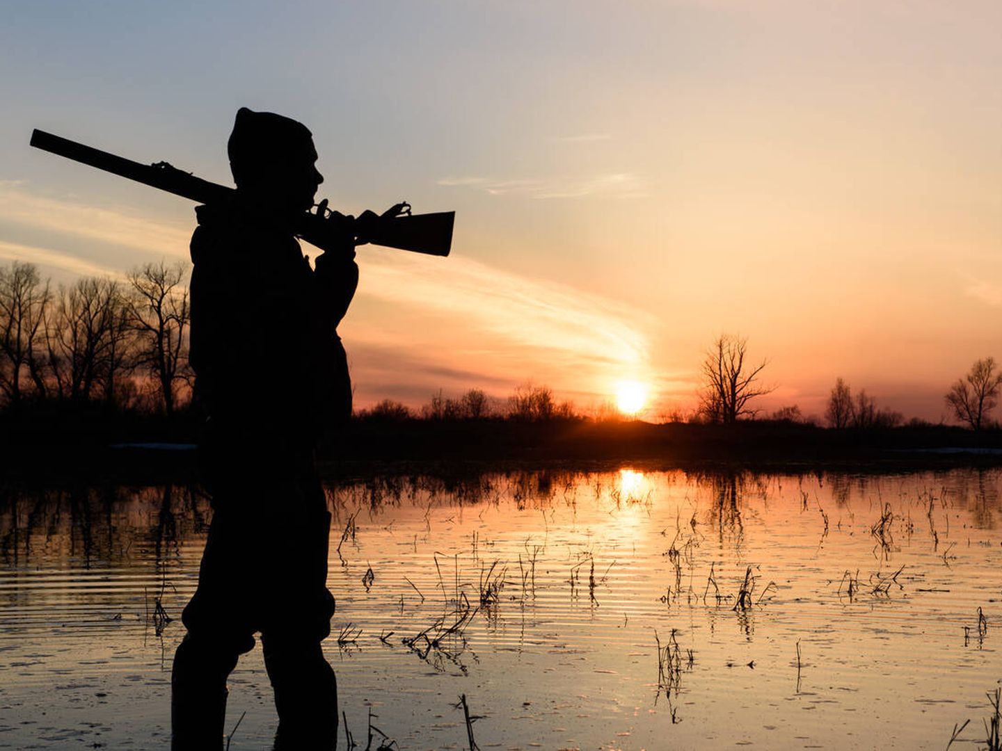 El uso de rifles es uno de los métodos más efectivos para espantar a las aves migratorias. (iStock)