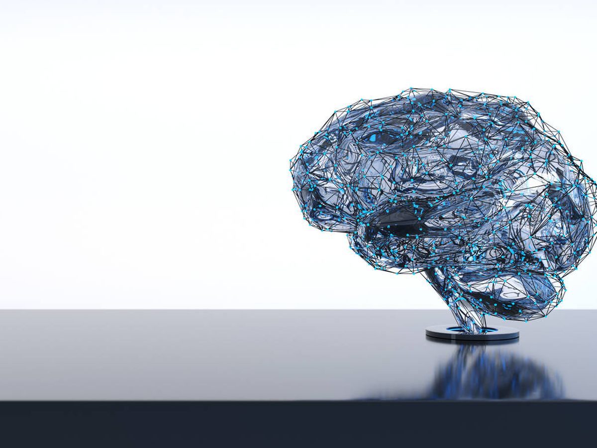 Foto: El cerebro cuenta con su propio sistema de seguridad . (iStock)