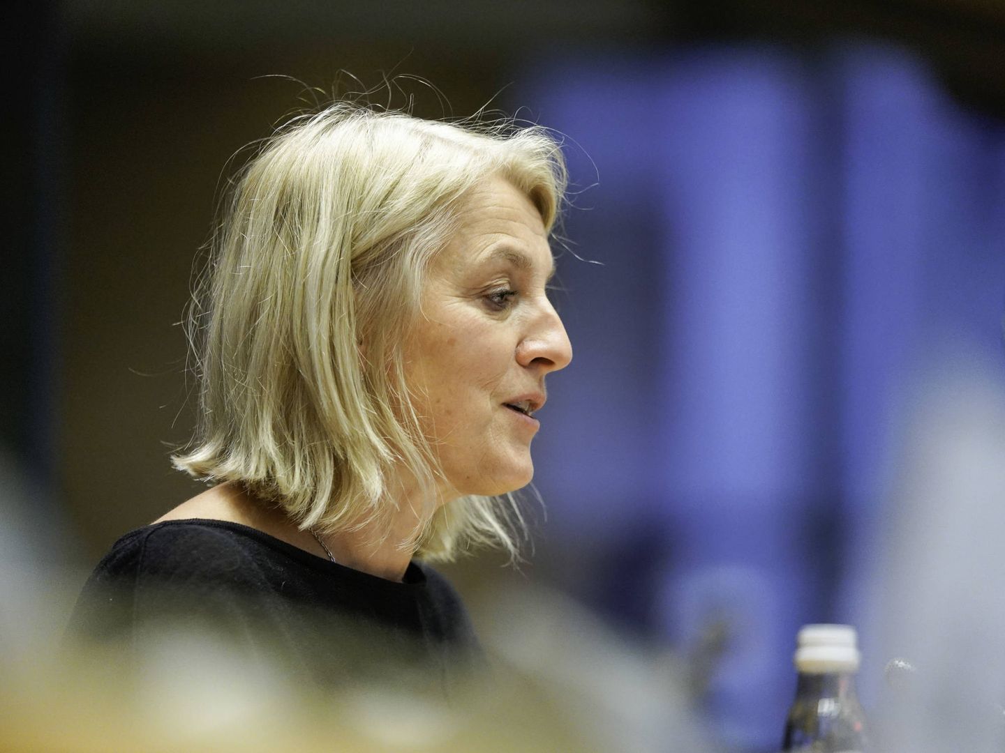 Regner durante una sesión de la comisión de Derechos de la Mujer. (Parlamento Europeo)