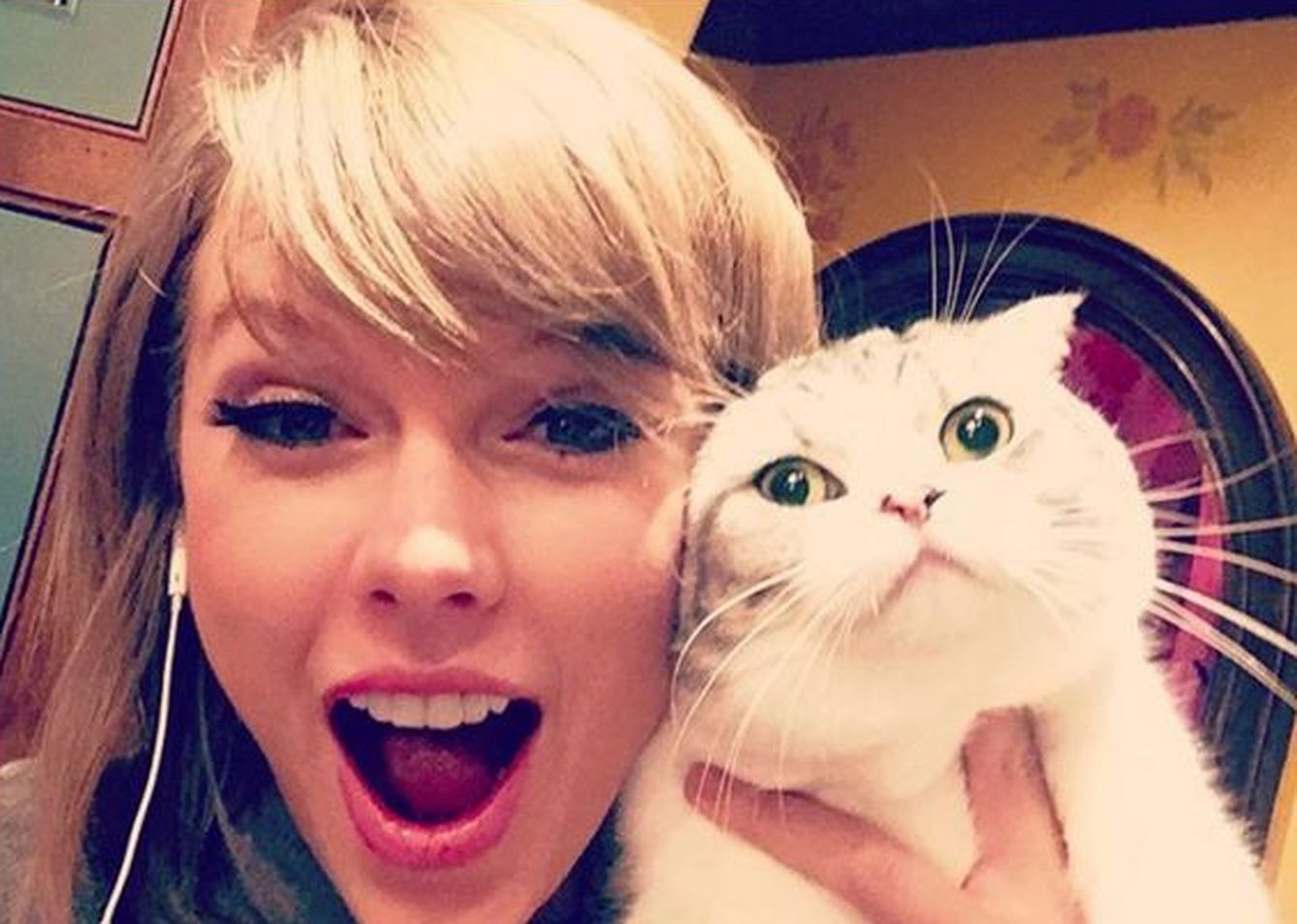 Taylor Swift con su gato: una de las fotos con más 'like' de la estrella