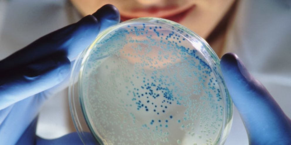 Foto: Las "super bacterias" convertirán en intratables infecciones comunes