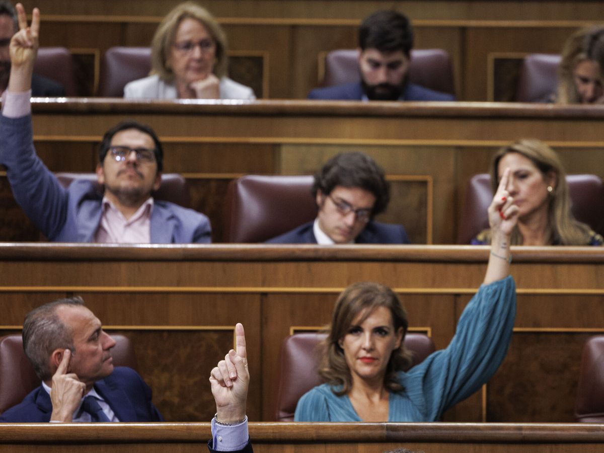 Foto: Diputados votan durante un pleno del Congreso de los Diputados. (EFE/Sergio Pérez)