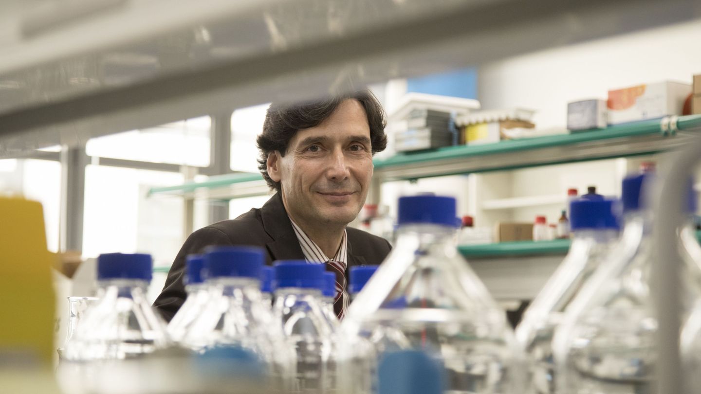 El científico Manuel Serrano, en su laboratorio. (EFE - Marta Pérez)