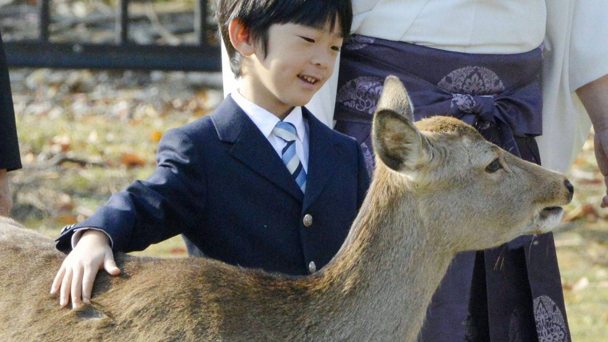 Así es el desconocido príncipe Hisahito de Japón, el heredero que ha cumplido 12 años