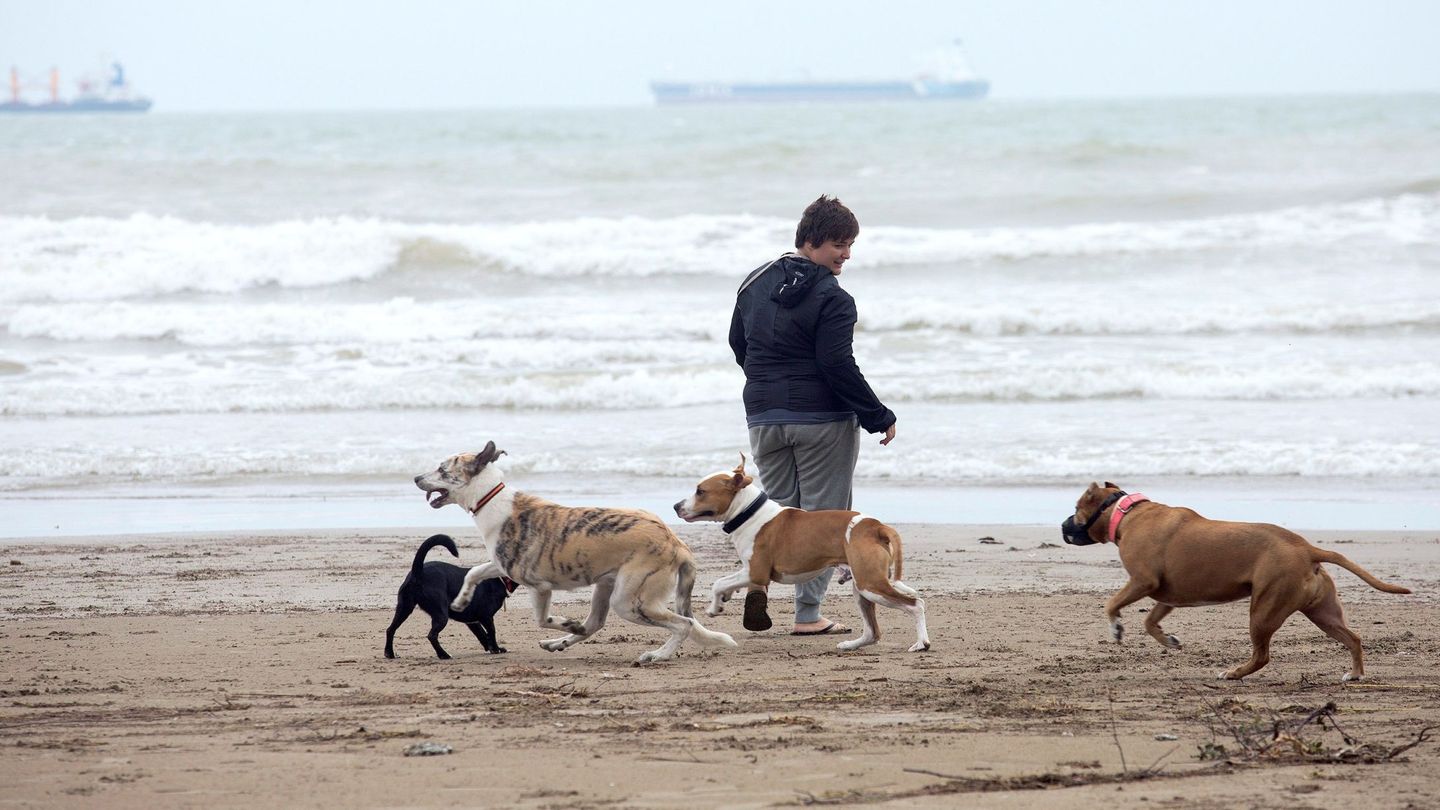 Una mujer pasea a sus perros por la playa (EFE)