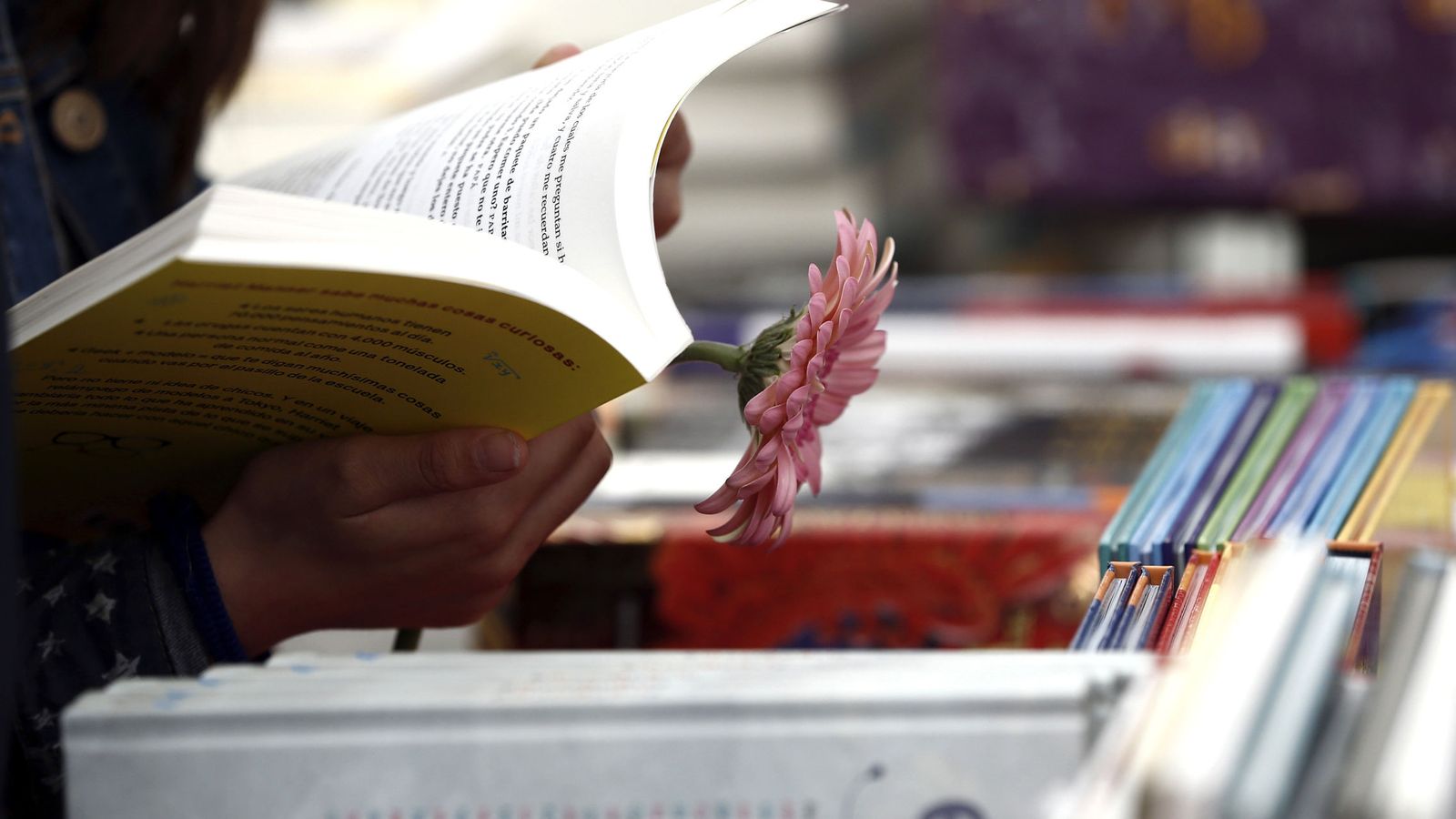 Foto: El sector editorial crece un 2,8% gracias al libro de texto y la novela (Efe)