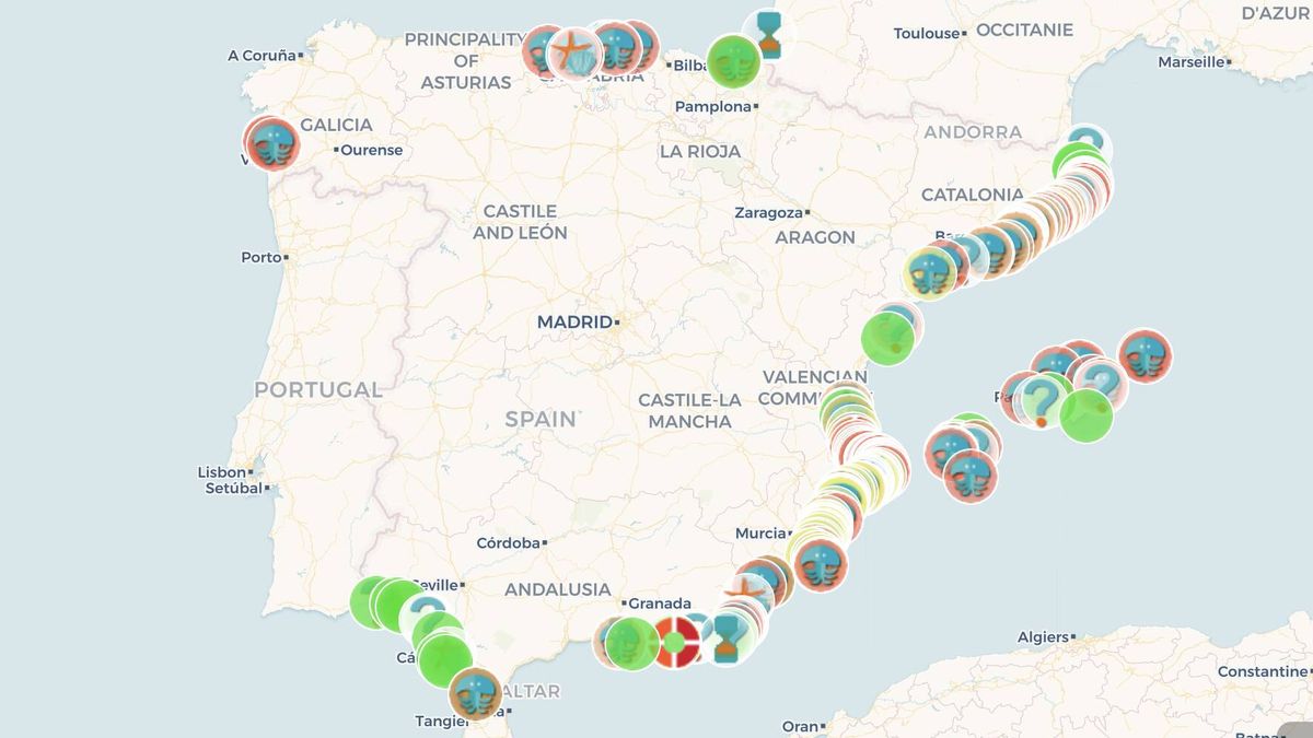 El mapa de las medusas en España: así puedes saber si es seguro bañarte en la playa