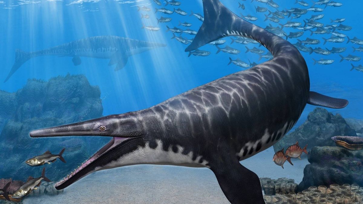 Hallan uno de los depredadores marinos prehistóricos más feroces de la historia