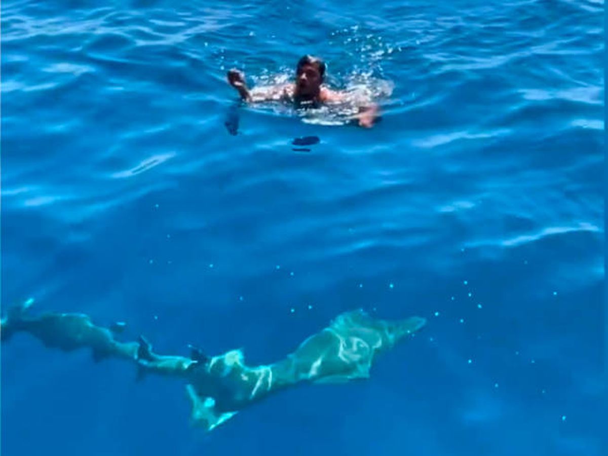 Foto: Nadó con una sola mano de vuelta al barco pese a estar rodeado de tiburones (Instagram)