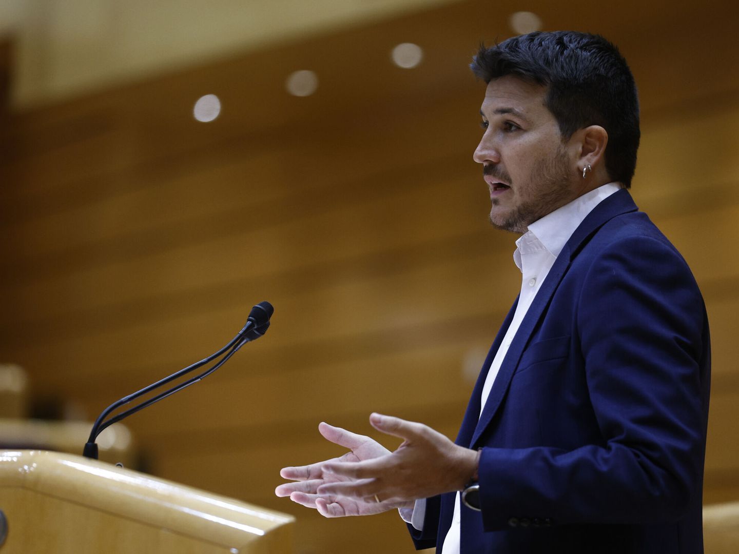 El senador Pablo Gómez Perpinyà interviene en el pleno del Senado. (EFE/Rodrigo Jiménez)