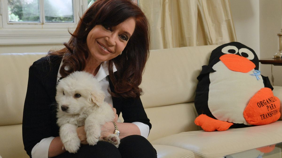 Kirchner reaparece con un perro antiespañol