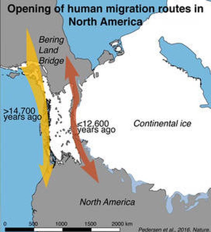 Mapa de la apertura de las rutas migratorias en América del Norte según este estudio. (Mikkel Winther Pedersen)