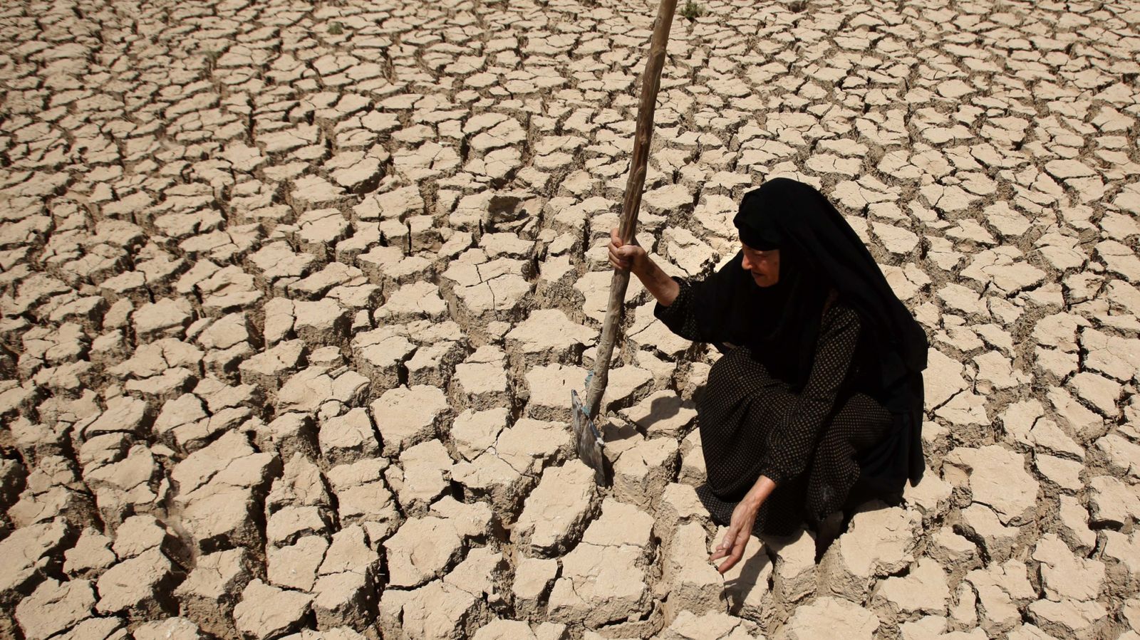 Foto: La sequía que azotó Siria, Turquía e Iraq en 2006 es la mayor registrada en esa zona