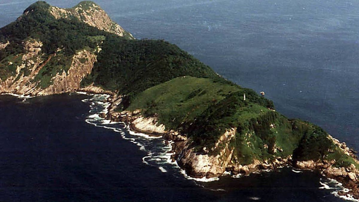 Serpientes mortales, tesoros, científicos y furtivos: así es la isla prohibida de Brasil