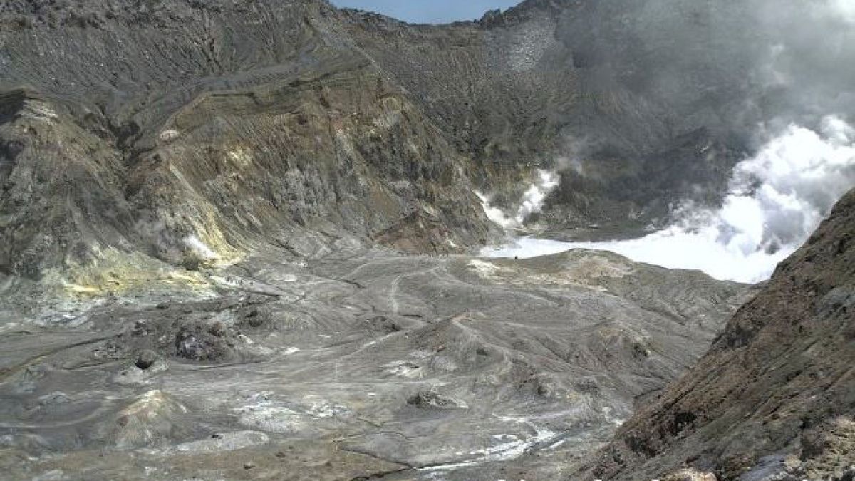 Cinco turistas muertos y varios atrapados por erupción de un volcán en Nueva Zelanda