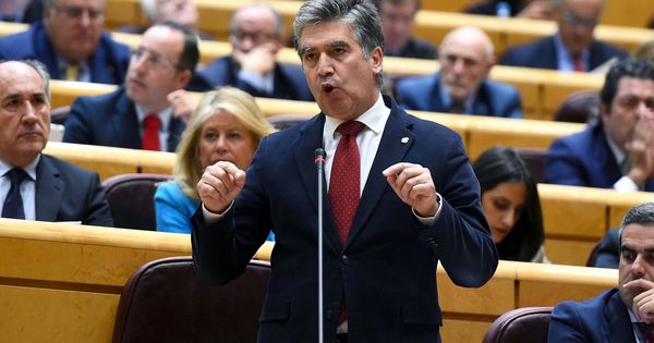 Foto: El portavoz del PP en el Senado, Ignacio Cosidó. (EFE) 